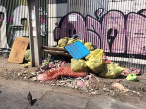 Camiones tirando basura en Recoleta: la respuesta de Cathy Barriga a acusación de Daniel Jadue