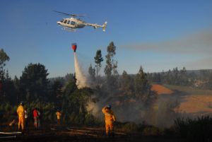 Bombero se encuentra en riesgo vital tras quedar atrapado en incendio forestal de Ercilla