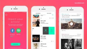 Record Bird, la app que te mantiene actualizado sobre lo nuevo de tus artistas favoritos