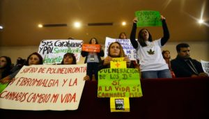 Cámara de Diputados aprueba en general proyecto que regula el uso medicinal de la marihuana