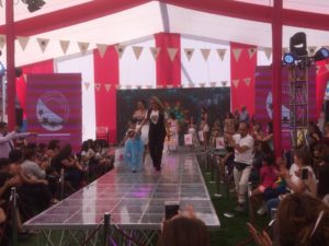 Fundación se baja de Feria de la Mujer de Maipú: 