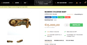 Venden momia bebe chilena en tienda holandesa por 11 millones de pesos