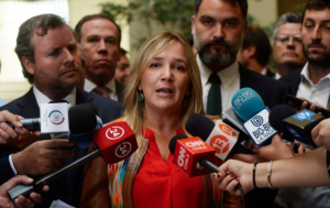UDI critica al PPD por suspensión de Armanet:
