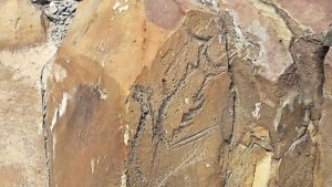 Dañan antiguos petroglifos ubicados en Caldera