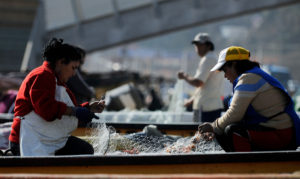 Pescadores artesanales y anuncio de Piñera: “Esperamos una nueva Ley de Pesca y sin letra chica”