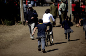 Estudio detecta metales pesados en organismo de 14 alumnos de escuela de Coronel