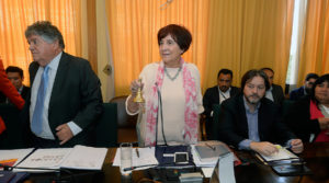 UDI analiza pedir la censura de Carmen Hertz de Comisión de Derechos Humanos