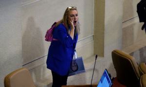 La refrescante manifestación política de Pamela Jiles