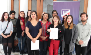 Mesa de Acción por el Aborto entrega argumentos para interpelación al ministro Santelices