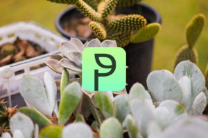 Chile exporta tecnología: 