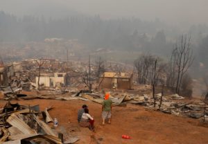 Campaña de reforestación en zonas afectadas por incendios recaudó millonaria cifra en Lollapalooza