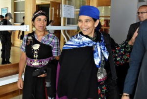 Machi Francisca Linconao: 