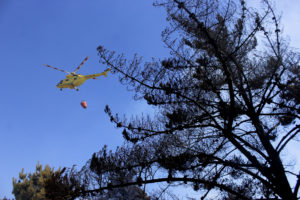 Se reactiva incendio forestal en Cerro Manquehue: el quinto de la temporada
