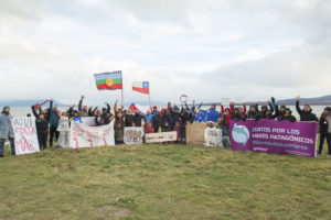 Greenpeace advierte impacto ambiental de la futura planta salmonera en Puerto Natales