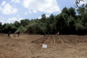 Abogado de víctimas alemanas y quema de DD.DD. en Colonia Dignidad: 