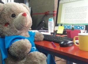 El peluche de la discordia: Cathy Barriga las emprende contra Techo Chile por culpa de Techito