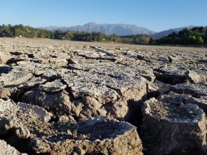 La desesperada medida de los vecinos de la Laguna Aculeo por devastadora sequía