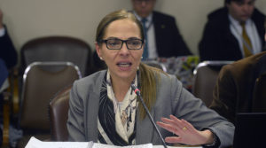 Ministra Plá pide al Senado revisar proyecto que sanciona la violencia en parejas sin convivencia