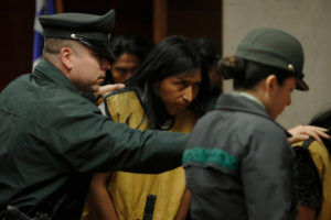 El instinto de animales