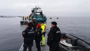 SMA solicita al Tribunal Ambiental autorización para detención del centro de cultivo de salmones tras fuga