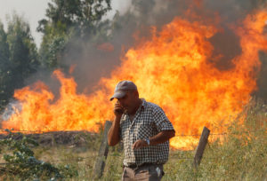 Fiscalía Nacional Económica denuncia ante TDLC a empresas del 