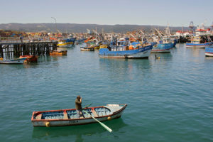 Presentan cinco medidas para combatir la pesca ilegal en aguas nacionales