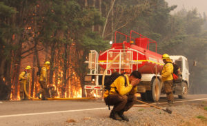 Conaf analiza acciones legales en contra de empresas involucradas en 