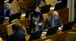 Diputada Karol Cariola: 