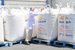 Futuro de planta Iansa en Linares se definirá el próximo 26 de julio