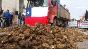 Trabajadores protestan con remolachas por eventual cierre de planta Iansa en Linares