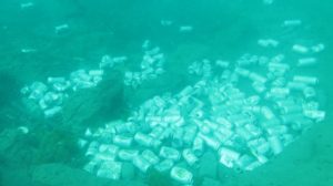 Descubren basural de latas de cerveza en el fondo del Lago Llanquihue