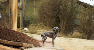 Segregación y pobreza: la dinámica que se requiere cambiar