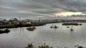 Corte Suprema sentencia a inmobiliarias a proteger humedal de Puerto Montt