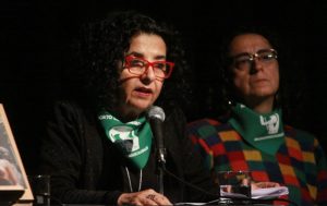 Faride Zerán y el movimiento feminista: 