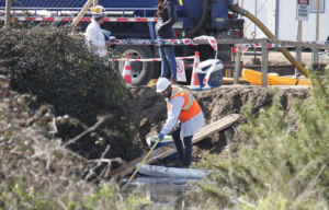 Director de Enap y crisis ambiental en Quintero y Puchuncaví: La medida preventiva 