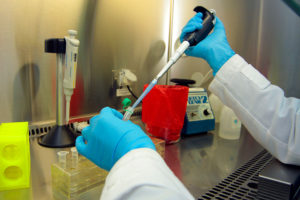 Limache: detectan presencia de peligroso hongo tropical