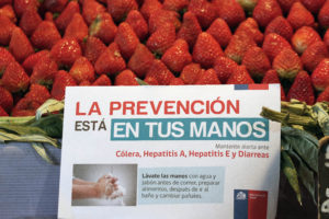 Brote de cólera alcanza 31 contagiados en tres regiones del país