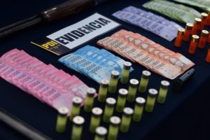 Al estilo Pablo Escobar: PDI desbarata banda de narcos que poseía parcelas y zoológicos