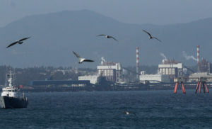 Contaminación ambiental y salud sexual y reproductiva