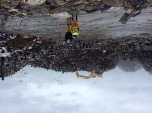 Formulan cargos a municipalidad de Osorno por vertedero que no cumple normas ambientales