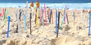 #ChaoBombillas: Gobierno lanza campaña para erradicarlas del comercio