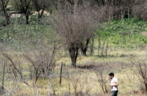 Miles de loteos brujos y “parcelas de agrado”