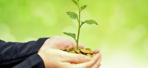 Bono verde de CMPC financiará proyectos de sustentabilidad