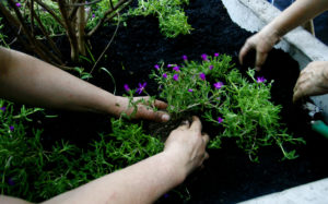 Proyecto de plaza itinerante en Pudahuel gana fondos de desarrollo social