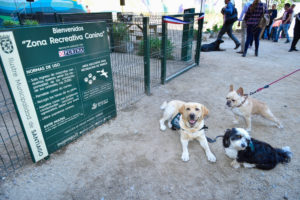Comuna de Santiago inaugura en la Plaza de Bolsillo de Santo Domingo su primera zona recreativa para perros