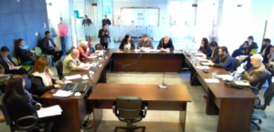 VIDEO | Concejal UDI de Recoleta trató de 
