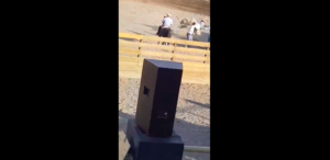 VIDEO | Acusan brutal maltrato animal a caballo en medialuna de Calle Larga