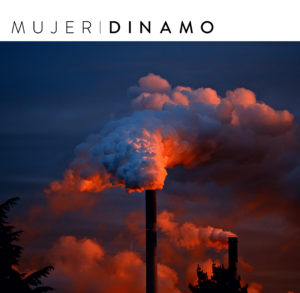 Diagnóstico de una científica líder: vivir y morir en Puchuncaví