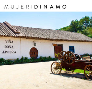 Viaje en modo patriota por Talagante