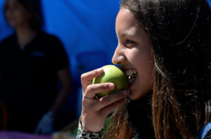 Aumento de obesidad en Chile preocupa a los expertos: Casi la mitad de los adultos tienen sobrepeso